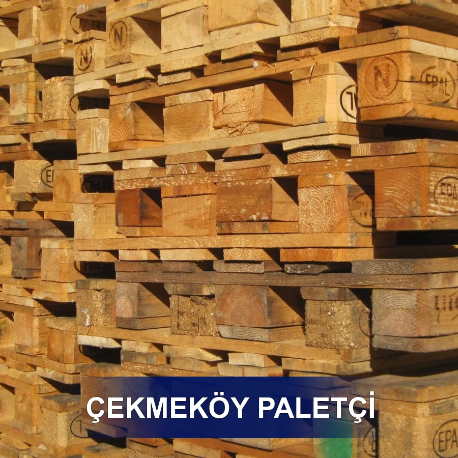Çekmeköy Paletçi